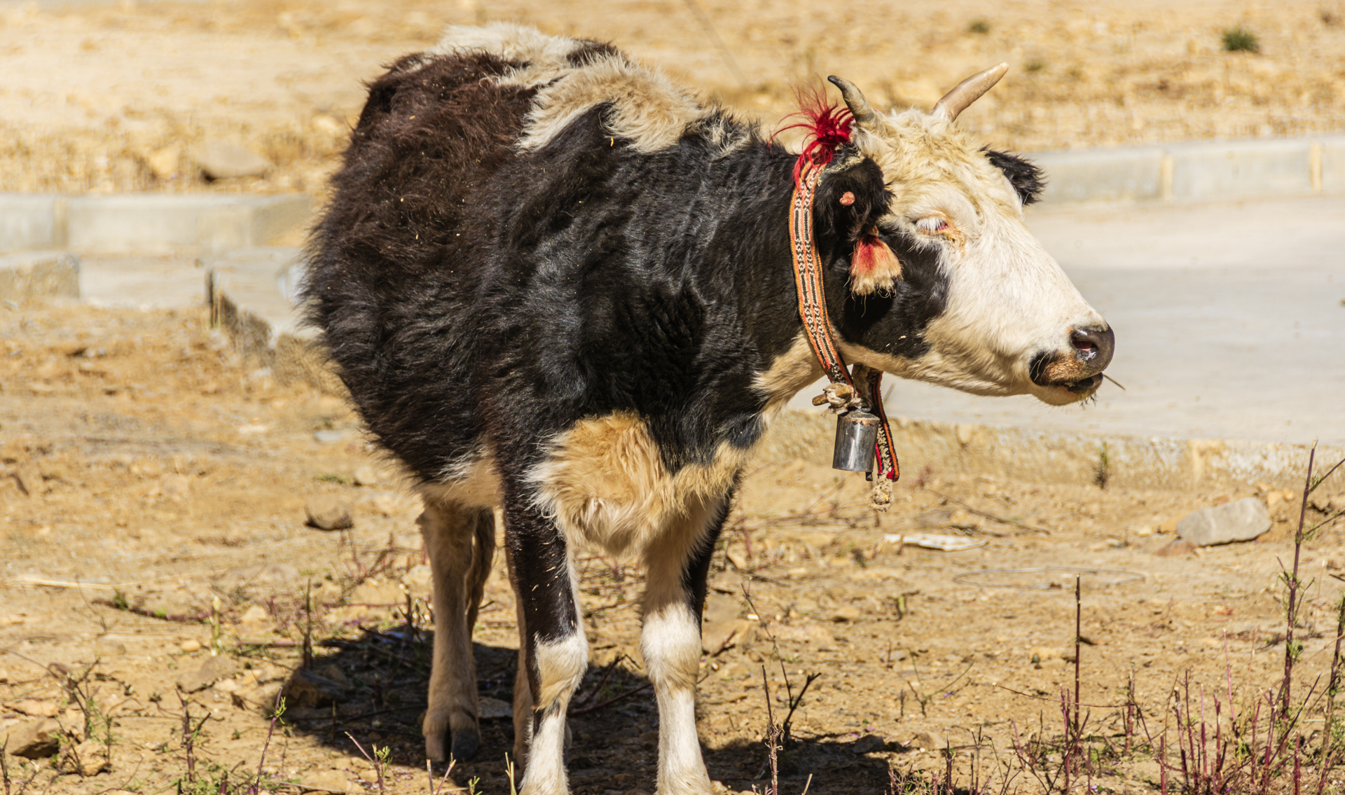 Fahrt von Shigatse nach Sakya